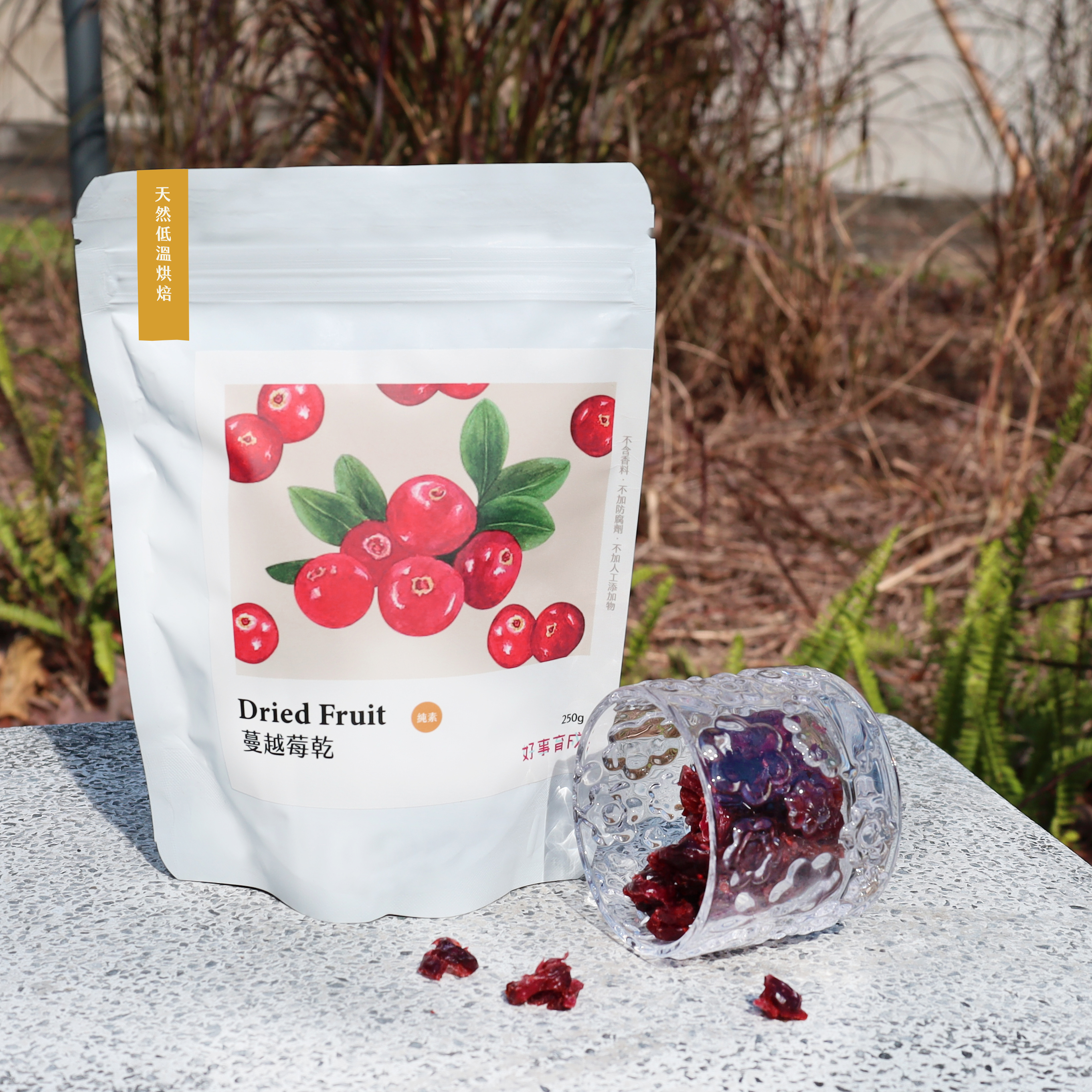 蔓越莓乾-封面圖