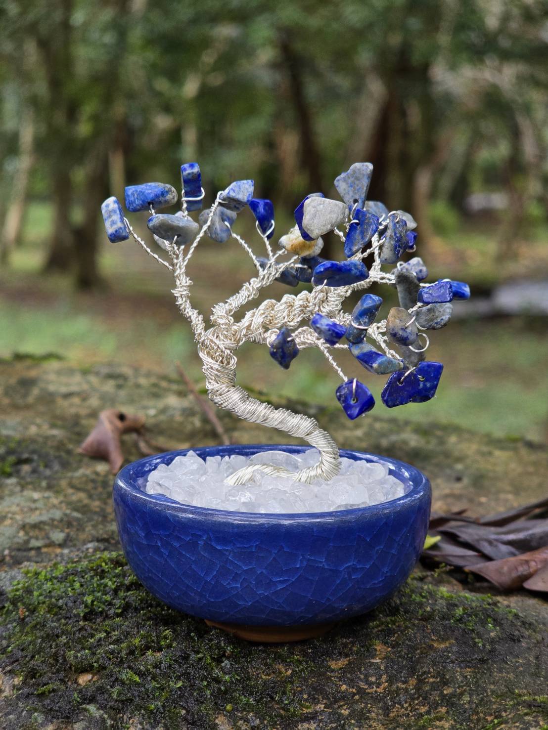 陶磁盆水晶樹-封面圖