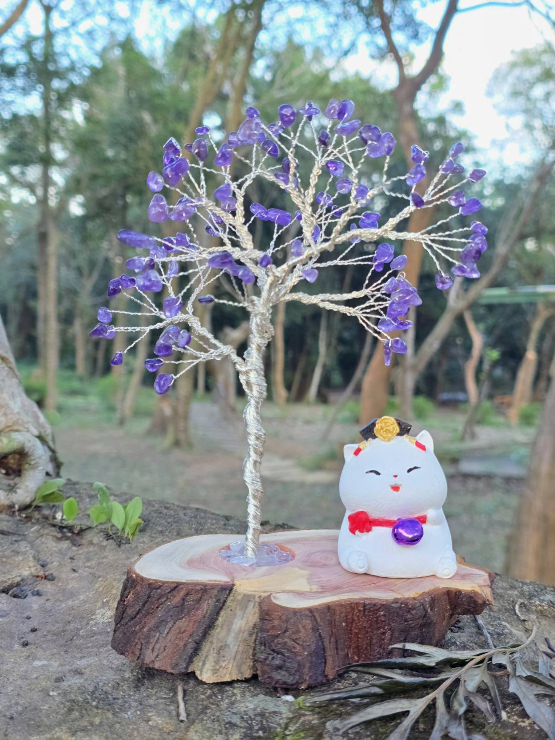 龍柏水晶樹-封面圖