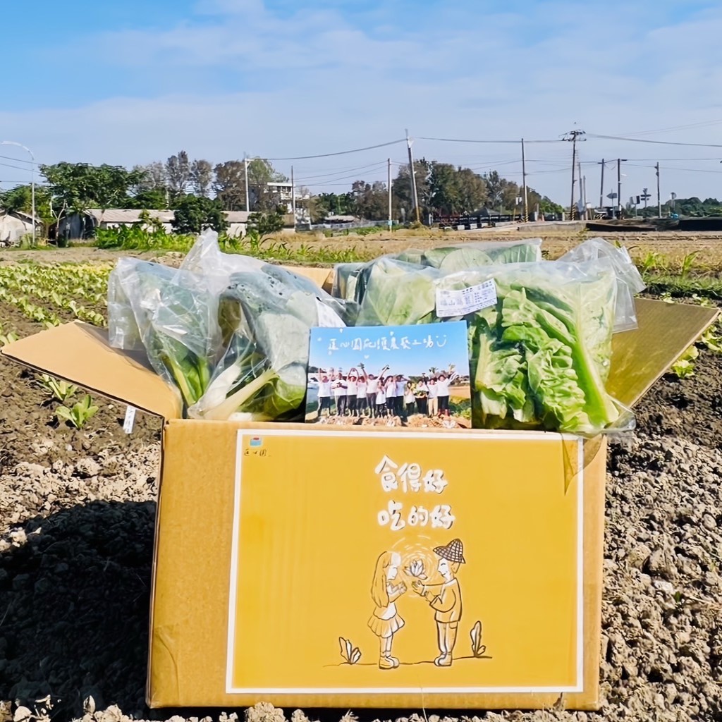 季節蔬菜箱-封面圖